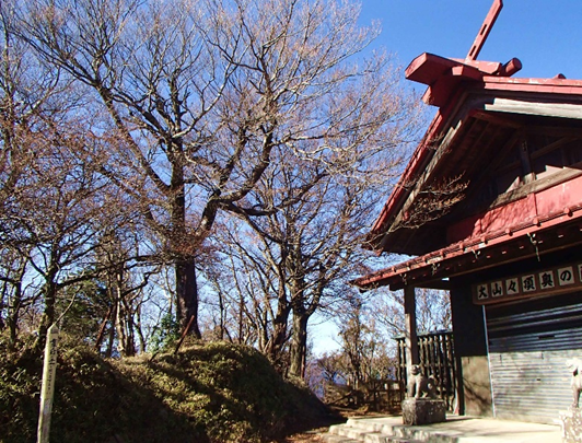 11月21日大山山頂の紅葉