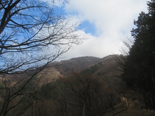 12月2日大山イタツミ尾根標高約1100メートル