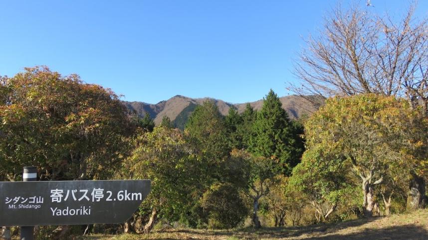 11月27日シダンゴ山山頂