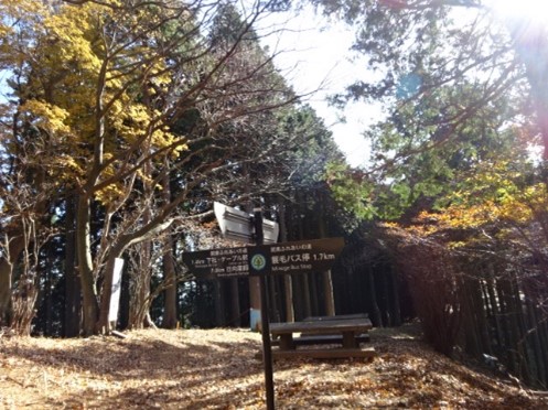 11月30日大山蓑毛越