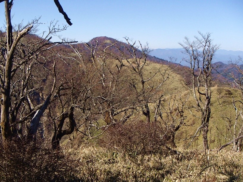 12月1日丹沢山山頂
