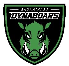 ダイナボアーズロゴデータ