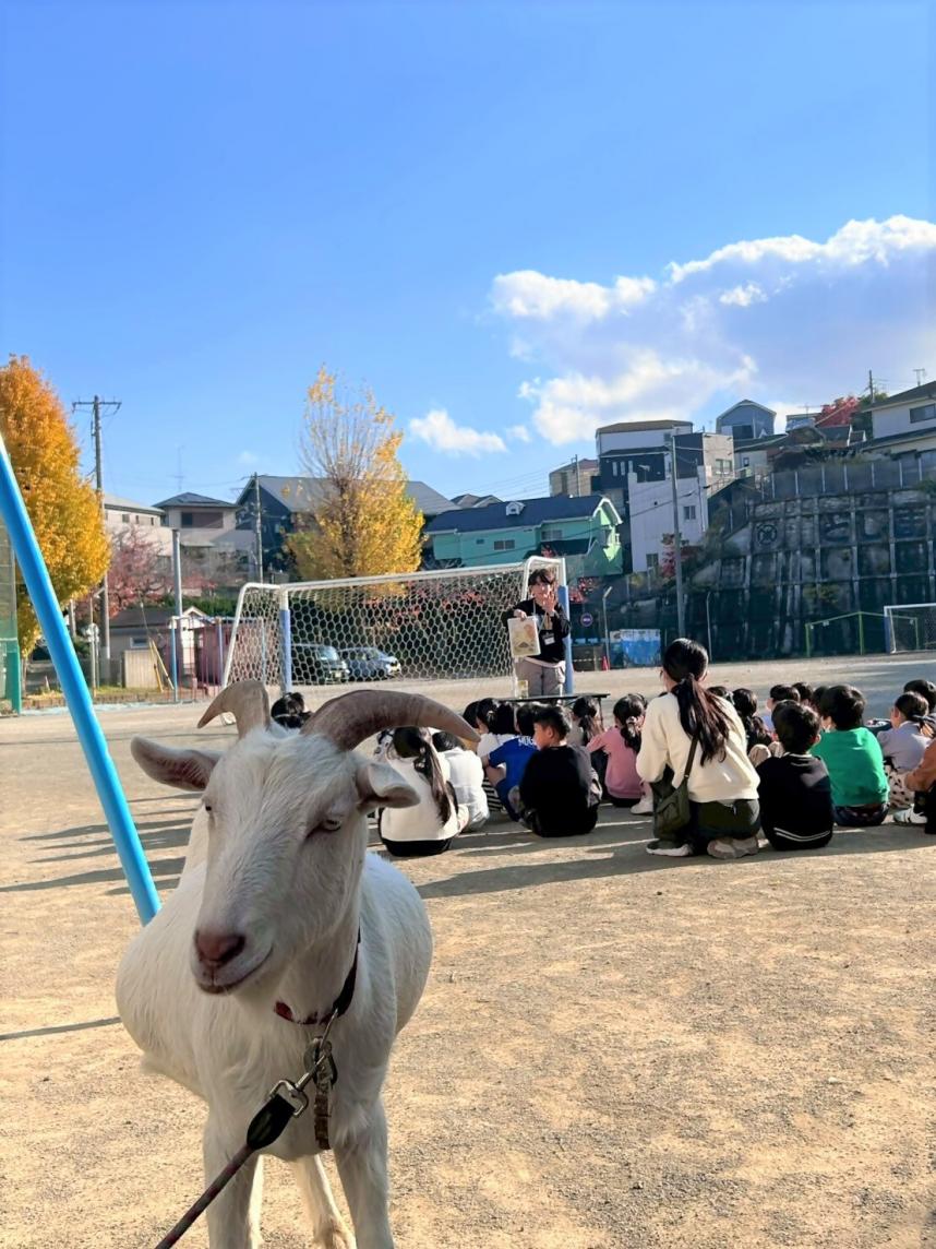 ヤギ授業02