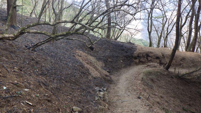 秦野市山荘付近