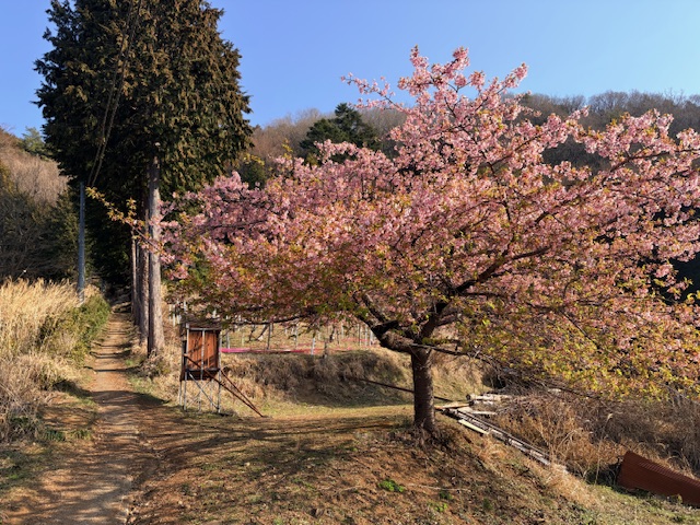 栃谷尾根登山口周辺