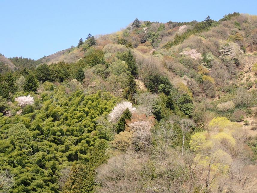 和田登山口周辺
