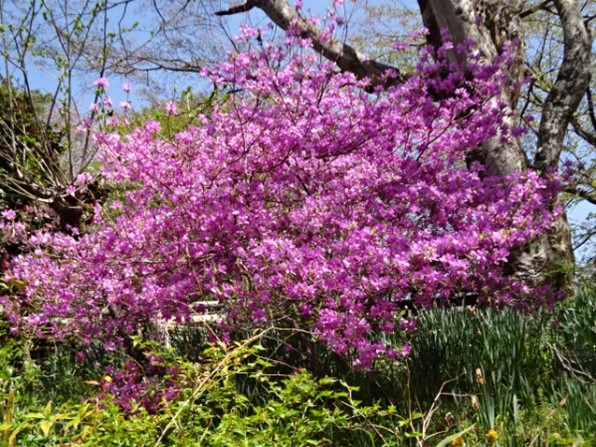 小仏城山山頂周辺