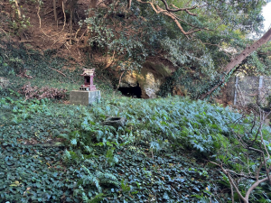 三浦市間口洞窟遺跡調査風景　洞窟正面