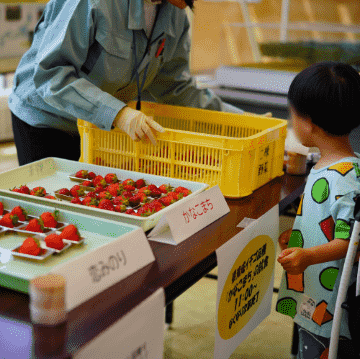 かなこまちの試食