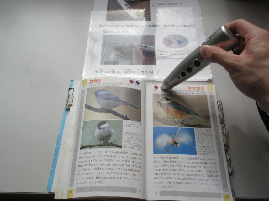 鳥の声を聞く様子