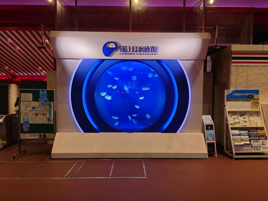 新江ノ島水族館の展示