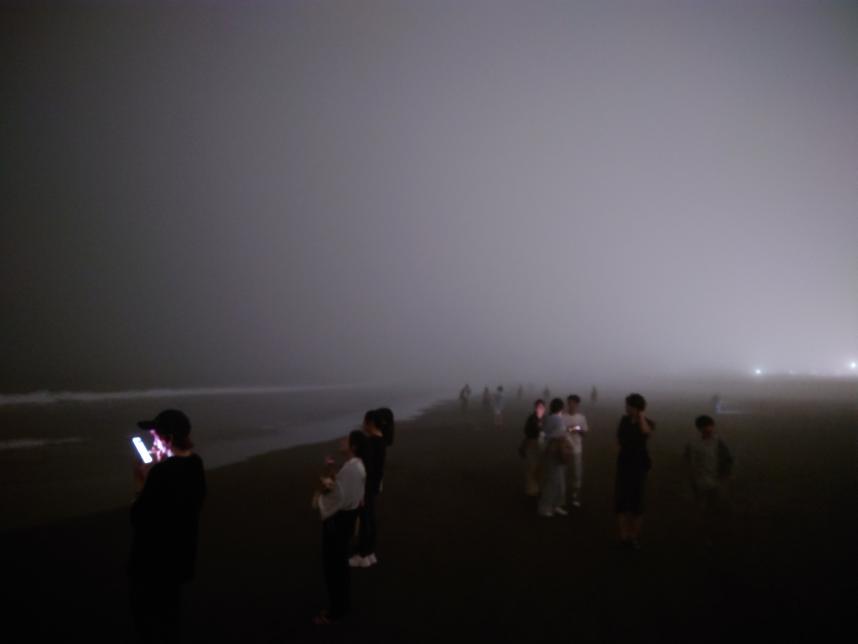 夜光虫の見物客