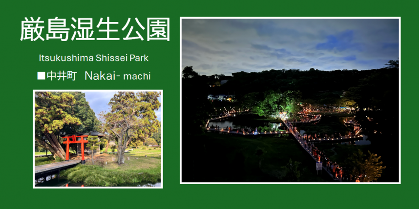 厳島湿生公園の写真