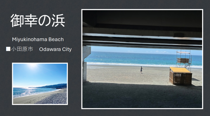 御幸の浜の写真
