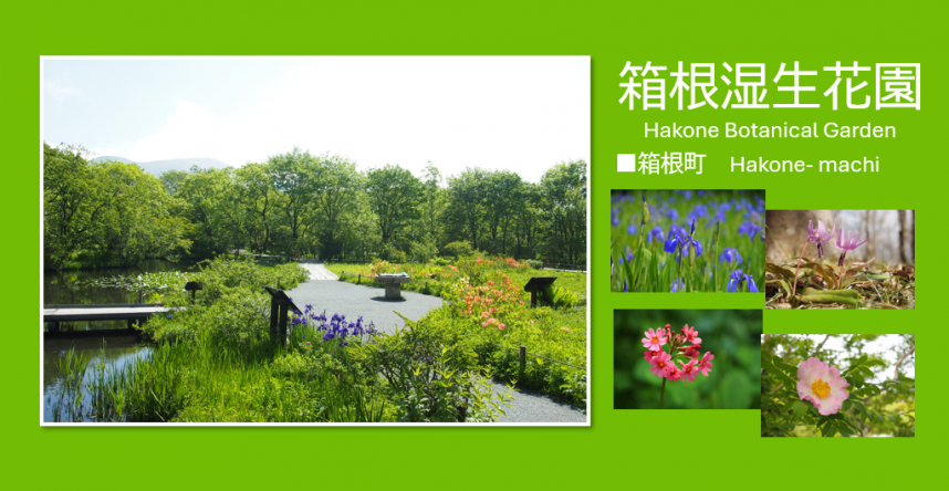 厳島湿生公園の写真