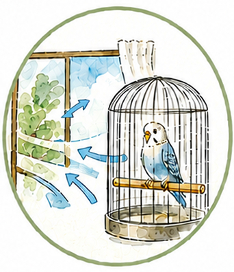 室内で鳥を飼育する時は換気を心がけましょう