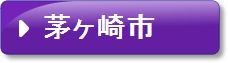 茅ヶ崎(紫）