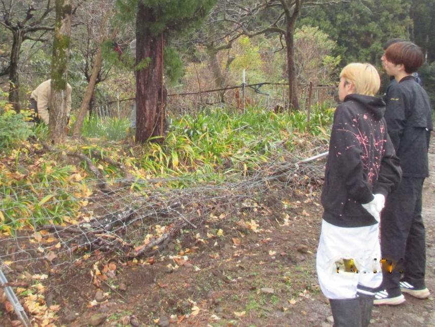鳥獣防護柵整備
