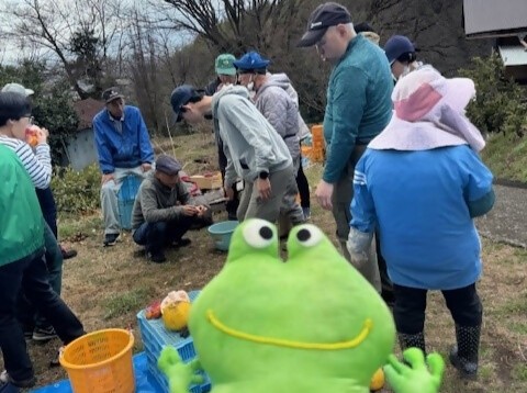 収穫作業