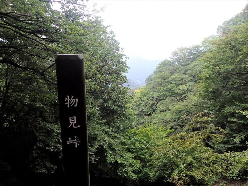 物見峠周辺　色づき始め