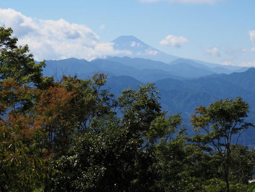陣馬山山頂