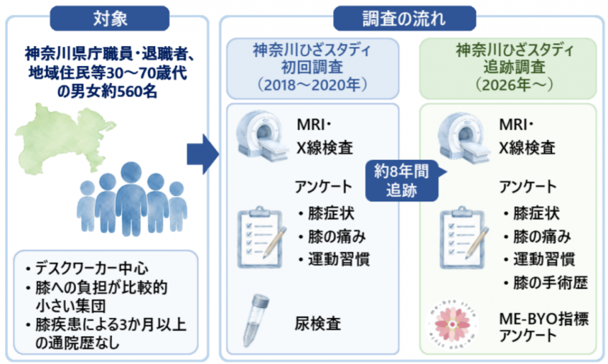 ひざスタディ説明図