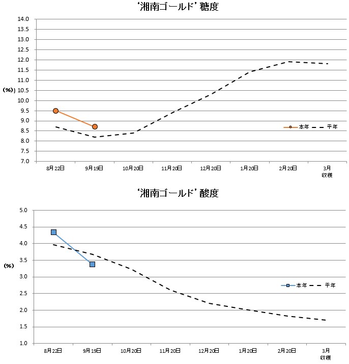 湘南ゴールド品質