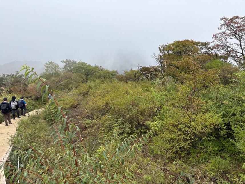 塔ノ岳山頂周辺