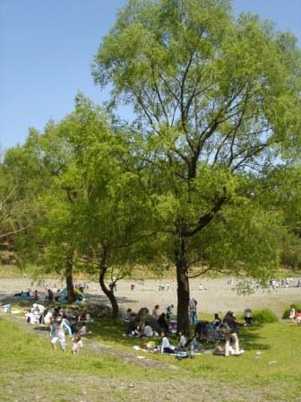 写真:秦野戸川公園の川辺の風景