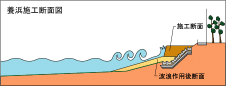 養浜施工断面図