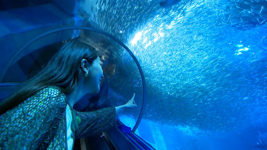 シーパラで水族館を楽しむ熊井さん