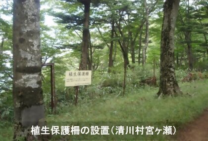 植生保護柵の設置