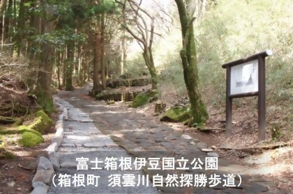 富士箱根伊豆国立公園