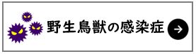 野生鳥獣の感染症