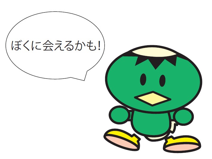 カッピー画像