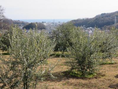 二宮町ユニバーサル農場01