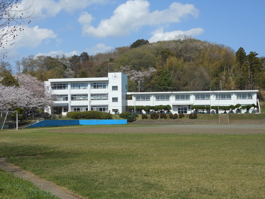 春にはたくさんの桜が咲き乱れます