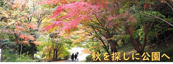 autumn2