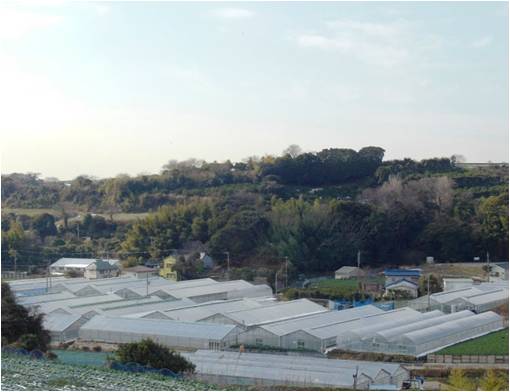 津久井浜観光農園