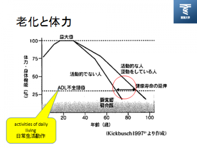 老化と体力