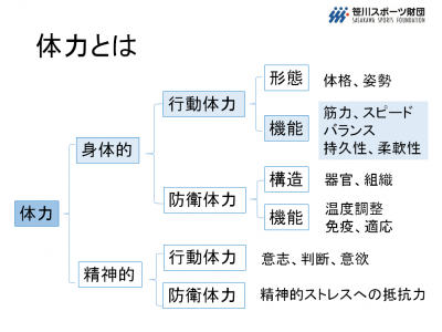 体力とは