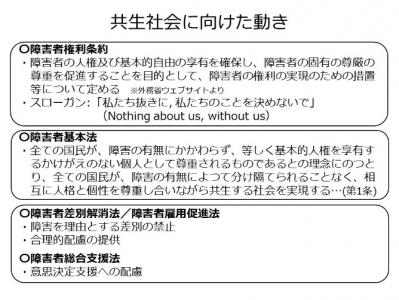 共生社会に向けた動き