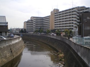 矢上川の写真