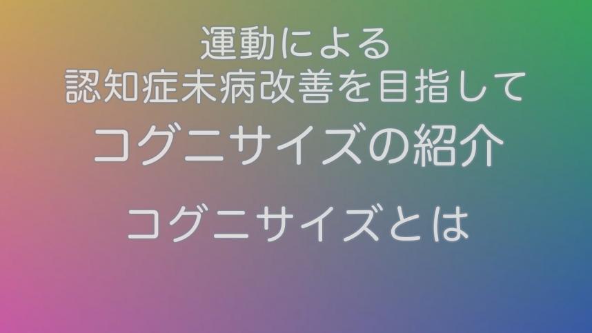 コグニサイズとは