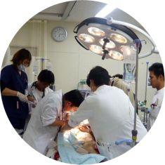 医療の現場（処置をする医師たち）