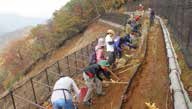 丹沢大山での植樹活動の写真
