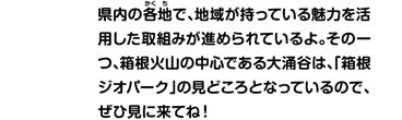 県内の各地で、地域が持っている魅力を活用した取組みが進められているよ。その一つ、箱根火山の中心である大涌谷は、「箱根ジオパーク」の見どころとなっているので、ぜひ見に来てね！