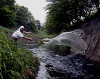 葛川をきれいにする会1