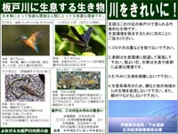 よみがえれ板戸川市民の会2