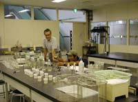 逗子名越緑地里山の会2